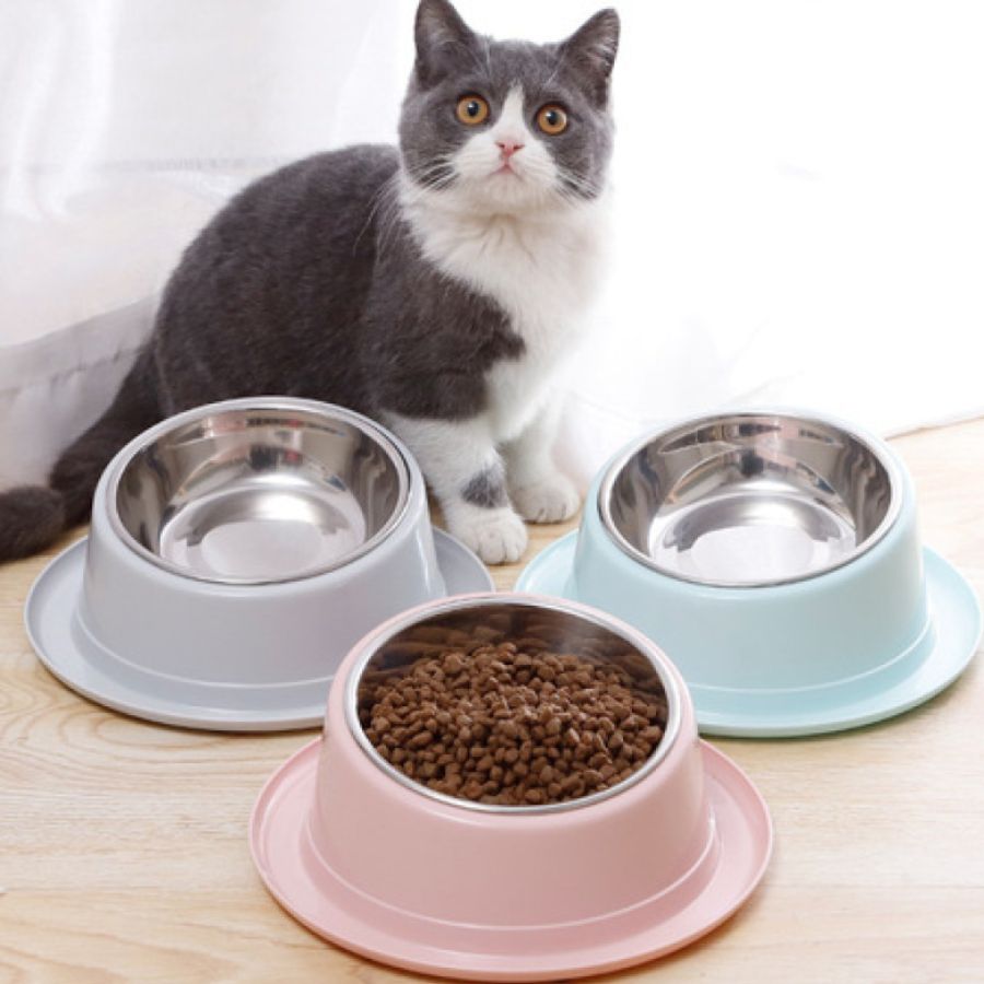Chuẩn bị thức ăn, nước uống và đồ dùng vệ sinh cho mèo